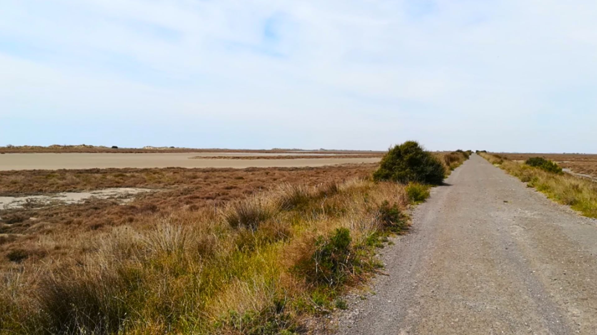 Séminaire GEMAPI & SFN sur les territoires